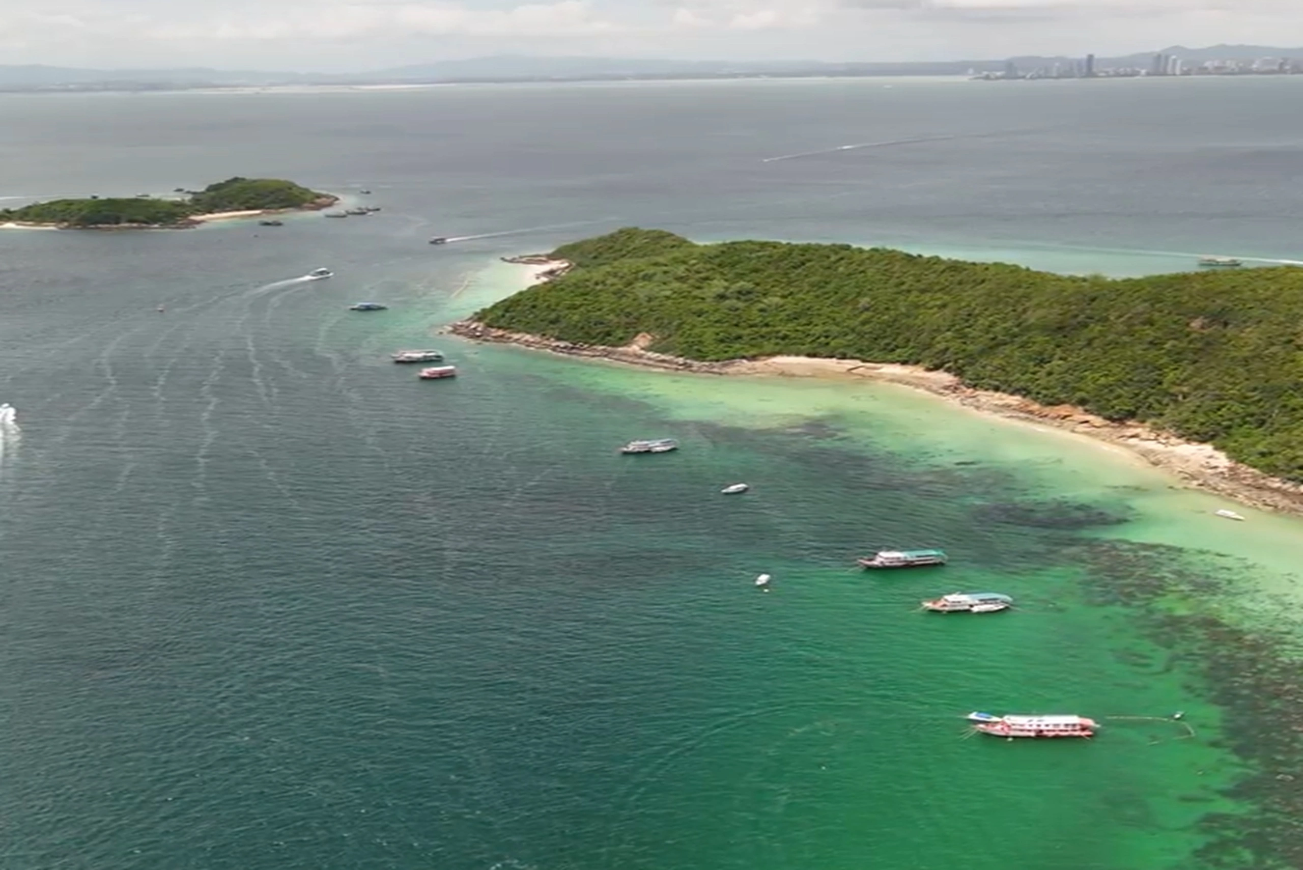 coral island (5)